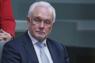 Kubicki sieht große Risiken auf deutsche Demokratie zukommen