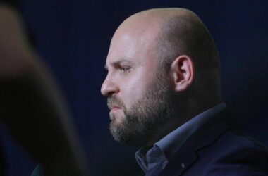 Frohnmaier will AfD-Spitzenkandidat in Baden-Württemberg werden