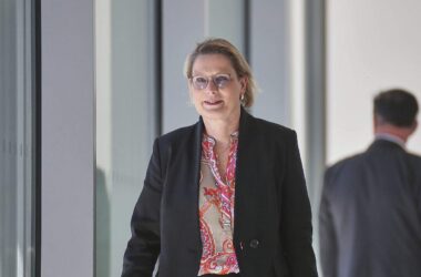 Grüne kritisieren Schweigen der Justizministerin zu Grenzkontrollen