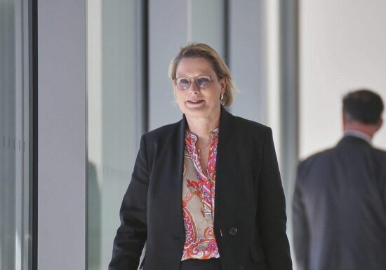 Grüne kritisieren Schweigen der Justizministerin zu Grenzkontrollen