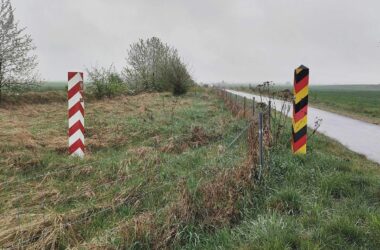Grünen-Vize will EU-Verfahren gegen Deutschland wegen Grenzpolitik