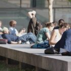 Bundesregierung wirbt um Harvard-Studenten