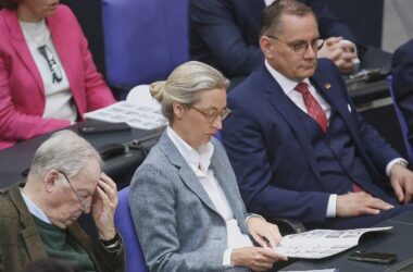 Grüne und Linke wollen AfD staatliche Gelder streichen