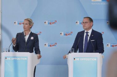 Insa: AfD verliert nach Einstufung als "rechtsextremistisch"