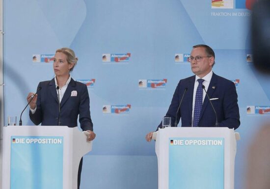 Insa: AfD verliert nach Einstufung als "rechtsextremistisch"