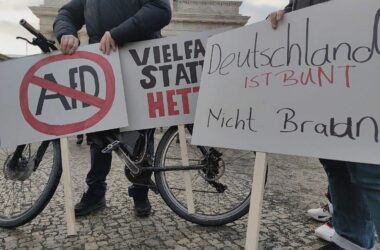 Grüne beharren weiter auf Verbotsverfahren gegen AfD