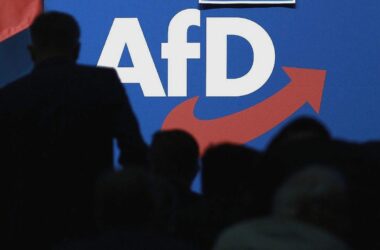Verfassungsschutz: AfD gesichert rechtsextremistisch