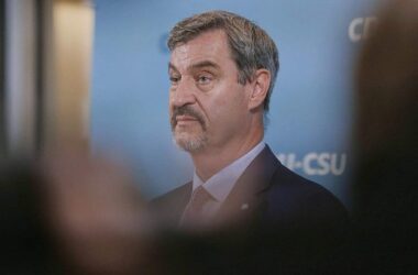 Söder hält mögliches AfD-Verbot für "falsches Signal"