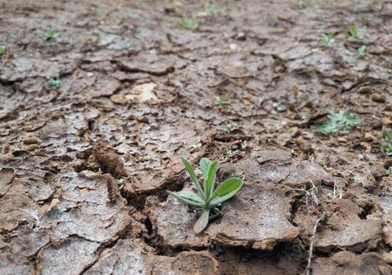 Vergangener Monat war zweitheißester April seit Aufzeichnungsbeginn
