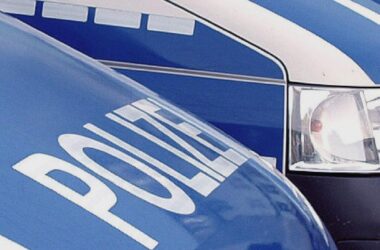 Zwei Tote bei Baumunfall im Rhein-Main-Gebiet