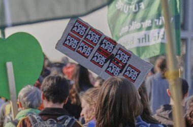 Insa: Mehrheit für AfD-Verbot