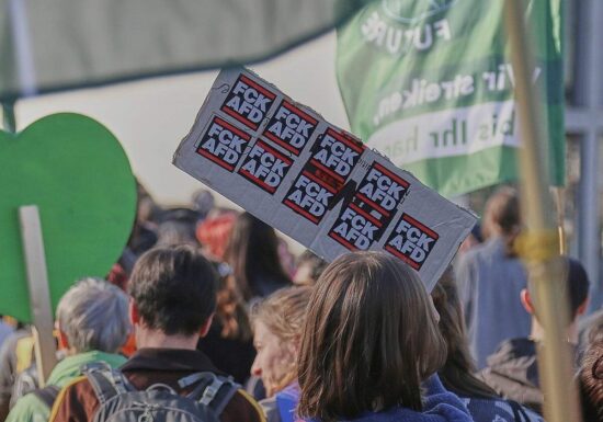 Insa: Mehrheit für AfD-Verbot