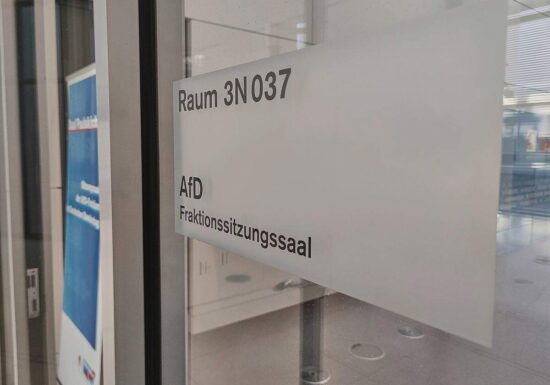 Nouripour weist "Opfergeschichte" der AfD in Saalstreit zurück