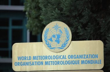 Weltwetterorganisation erwartet weitere Hitzerekorde