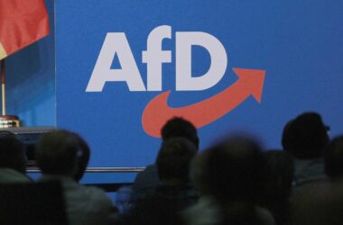 Bundesländer erwägen Entwaffnung von AfD-Mitgliedern