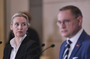 AfD will gegen Verfassungsschutz-Einstufung juristisch vorgehen