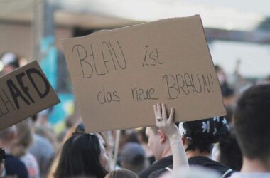 Verdi verlangt Vorbereitung von AfD-Verbotsverfahren