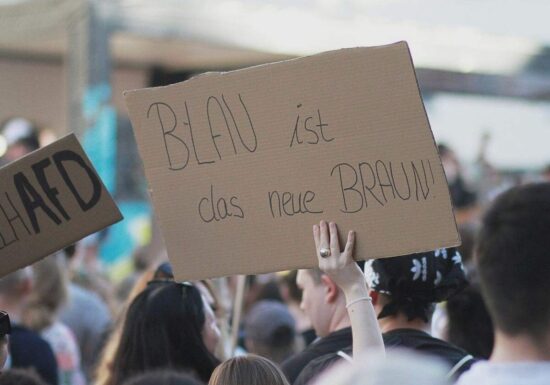 Verdi verlangt Vorbereitung von AfD-Verbotsverfahren