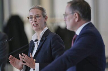 AfD schickt Verfassungsschutz Abmahnung