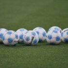 Dresden und Bielefeld kehren in 2. Bundesliga zurück