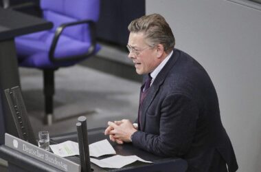 Grünenfraktion will gegen AfD "gesamten Instrumentenkoffer" nutzen