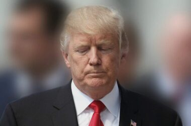 Hofreiter nennt Trump "Faschist und Naivling"