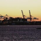 Ifo: Wettbewerbsfähigkeit der deutschen Industrie sinkt weiter