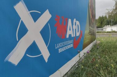 Bericht: Verfassungsschutz stuft AfD Brandenburg als rechtsextrem ein