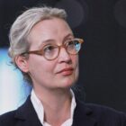 Staatsrechtler Boehme-Neßler: Stillhaltezusage bringt AfD Zeit