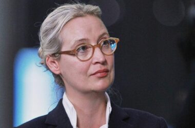 Staatsrechtler Boehme-Neßler: Stillhaltezusage bringt AfD Zeit