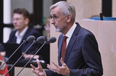 Sachsens Innenminister zweifelt an AfD-Verbot