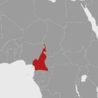 NRC: Kamerun ist am stärksten vernachlässigte Vertreibungskrise