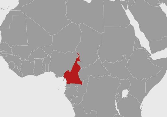 NRC: Kamerun ist am stärksten vernachlässigte Vertreibungskrise