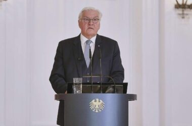 Steinmeier kondoliert nach Flugzeugabsturz in Indien