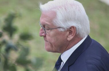 Gericht verurteilt Mann wegen Verunglimpfung des Bundespräsidenten