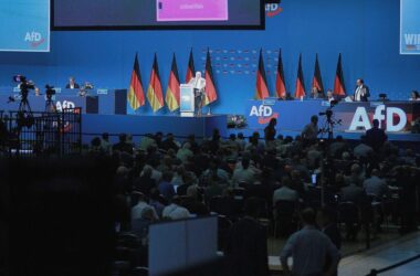 Grüne fordern schärfere Regeln für AfD-Mitglieder im Staatsdienst
