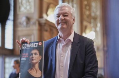Analyse: Compact profitiert von Verbotsverfahren