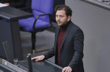 Grünen-Chef drängt auf AfD-Verbotsverfahren