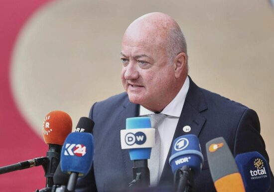 Österreichs Kanzler warnt vor AfD