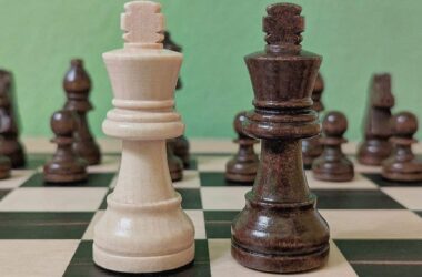 Harvard-Ökonom Rogoff unterhielt sich mit Merkel über Schach