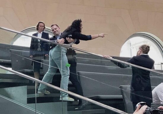 Besucherin stört Bundestagssitzung - "Free Palestine"-Rufe