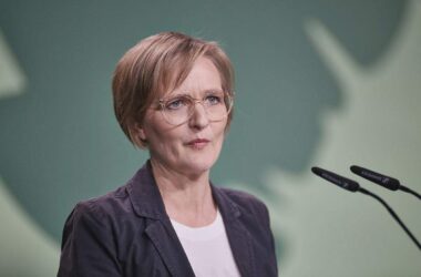 Gaza: Grüne werfen Bundesregierung Tatenlosigkeit vor