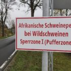 Weitere Schweinepest-Verdachtsfälle in NRW