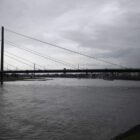 Ökonomen: Niedrigwasser am Rhein könnte Konjunktur belasten