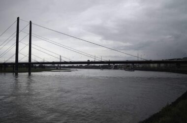 Ökonomen: Niedrigwasser am Rhein könnte Konjunktur belasten