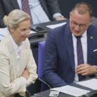 Politologe sieht AfD als "Gewinner" der Debatte um Richterwahl