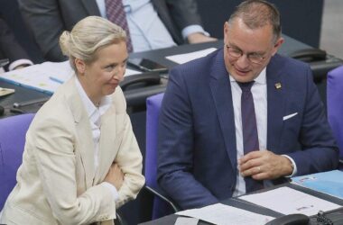Politologe sieht AfD als "Gewinner" der Debatte um Richterwahl