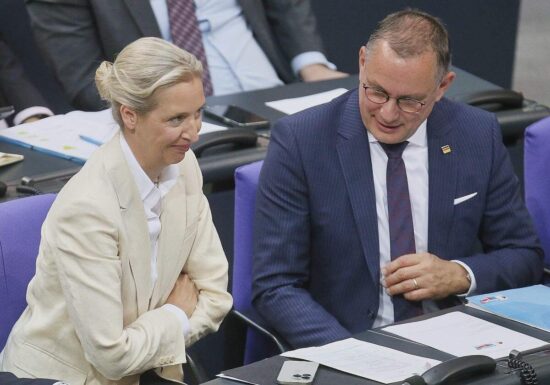 Politologe sieht AfD als "Gewinner" der Debatte um Richterwahl