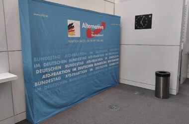 AfD hält sich Unterstützung von Verfassungsrichter offen