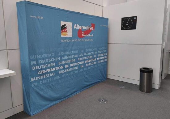 AfD hält sich Unterstützung von Verfassungsrichter offen
